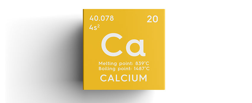 What Does Calcium Do for My Body?